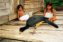 Girl with pet Wattled curassow, Piagacu Purus Res, Brazil {Crax globulosa}