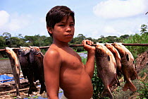 Boy with caught Pirapitinga fish {Colossoma bidens} Panaua, Amazonas, Brazil