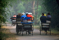 Tourists in cycle rickshaws, Keoladeo Ghana / Bharatpur NP, Rajasthan, India