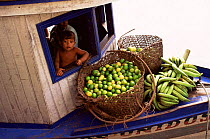 Cultivated fruits - bananas and lemons, Mamiraua ecol. st, Amazonia, Brazil