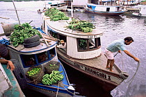 Transporting bananas and lemons by boat, Mamiraua ecological station, Amazonia, Brazil