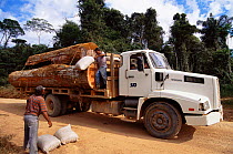 Transporting Mahogany tree {Swietenia macrophylla} timber by lorry,  Maraba, Brazil