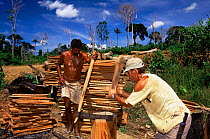 Splitting Brazil nut tree {Berthilletia excelsa} timber for house roofing. Maraba, Brazil