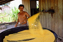 Toasting manioc flour over fire, Mamiraua Ecological Station, Amazonas, Brazil
