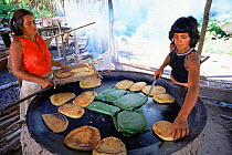 Cooking manioc flour cakes, Mamiraua Ecological Station, Amazonas, Brazil