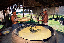 Toasting manioc flour over fire, Mamiraua Ecological Station, Amazonas, Brazil