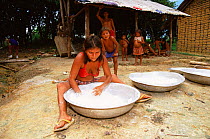 Yanomami indian making manioc porridge, Maturaca village, Amazonas, Brazil