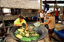 Cooking manioc flour cakes, Piagacu Purus Sustainable Devt Reserve, Amazonas, Brazil
