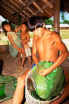 Yanomami indian covers basket with banana leaves, Maturaca village, Amazonas, Brazil
