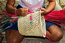 Weaving wax palm leaves into basket, Aracati, Ceara, NE Brazil