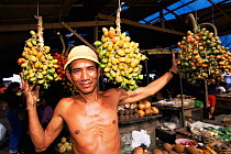 Pupunha fruits at market {Guilielma gasipaes} Para state, Brazil
