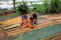Women sit on leaves of palm trees woven to make roofs, Mamiraua Ecol. Stn, Brazil