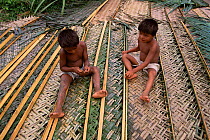 Boys sit on leaves of palm trees woven to make roofs, Mamiraua Ecol. Stn, Brazil