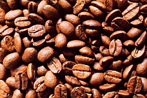Roasted Coffee beans {Coffea sp} Brazil