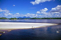 Negro river with beach of white sand, Sao Gabriel da Cachoeira, Amazonas, Brazil