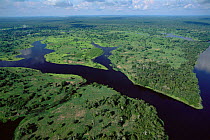 Aerial view of flooded forest, Varzea, Mamiraua Sust Devt Reserve, Amazonas, Brazil