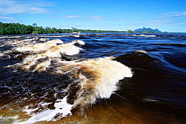 Rapids in Rio Negro, nr Sao Gabriel da Cachoeira, Amazonas, Brazil