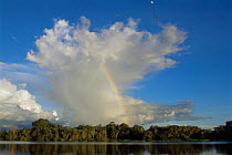 Rainbow over Lake Mamiraua, Mamiraua Sust Devt Reserve, Amazonas, Brazil