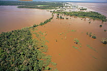 Aerial view of flooded forest, Varzea, Amazonas river, Brazil. 1993