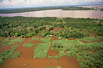 Aerial view of flooded forest and houses, Varzea, Amazonas river, Brazil. 1993