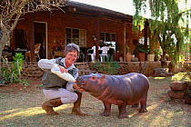 Baby Hippopotamus being hand fed {Hippopotamus amphibius} Lapalala reserve, South Africa