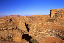 Gorges caused by erosion, Golden Gate Highlands NP, Orange Free State, South Africa