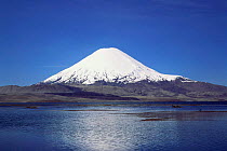 Lake Chungara + Parinacota volcano, Lauca NP, Andes, Tarapaca, N Chile