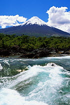 Petrohue river and Osorno volcano, Vicente Peres Rosales National Park, S Chile