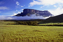 Mount Kukenan, Canaima NP, Bolivar, Venezuela - table top/ flat mountain
