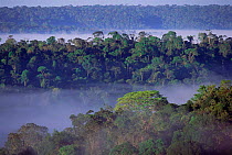 Upland or Terra firme of the Amazon rainforest, Serra dos Carajas, Para, N Brazil
