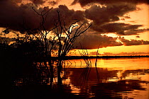 Lake Mamiraua at sunset, Mamiraua Ecol Stn, Amazonas, Brazil