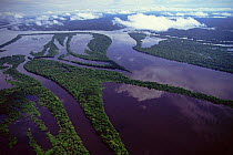 Aerial view of Igapo flooded rainforest, River Negro, Anavilhanas Ecol Stn, Brazil