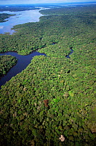 Aerial view of Igapo flooded rainforest, River Negro, Anavilhanas Ecol Stn, Brazil