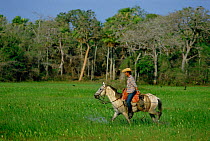 Cowboy of the Pantanal, Mato Grosso, Brazil