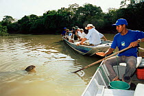 Tourists watching  Giant otter {Pteronura brasiliensis} Pixaim river, Pantanal Brazil