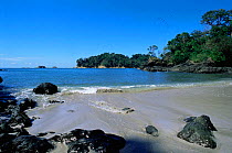 Manuel Antonio National Park, pacific coast, Costa Rica