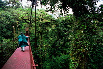 Rainforest canopy skywalk, Monteverde NR, Costa Rica