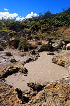 Boiling mud, Las Pailas sector, Rincon de la Vieja NP. Guanacaste, Costa Rica