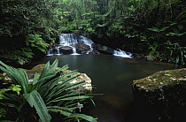 Waterfall and pool in rainforest stream, Mantadia NP, E Madagasca