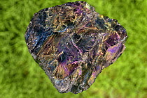Coal - "Peacock coal". Pennsylvania, USA.