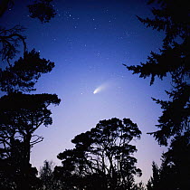 Hale Bopp comet, Southern England, 1997.