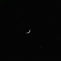 New moon with planet Venus. UK.