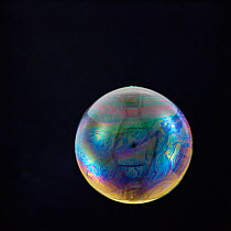 A soap bubble floating in the air - colour refraction on surface