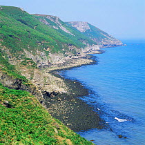 East coast of Lundy Island at low tide, UK.