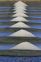 Salt production by evaporation. Guerande, France.