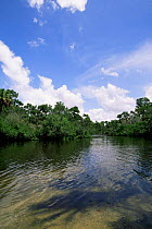 Koreshan State Historic Site, Estero river, Florida, USA.