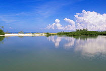 Carl Johnson-Lovers Key State Park showing Barrier Island and mangroves, Florida, USA.