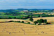Straw bales in stubble field after harvest in farmland landscape, Wiltshire, UK.