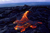 Pahoehoe lava flows into Lae' apuki bench, Kilauea volcano, Hawaii, USA. Jan 2000