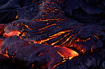 Pahoehoe lava flows into Lae' apuki bench, Kilauea volcano, Hawaii, USA. Jan 2000